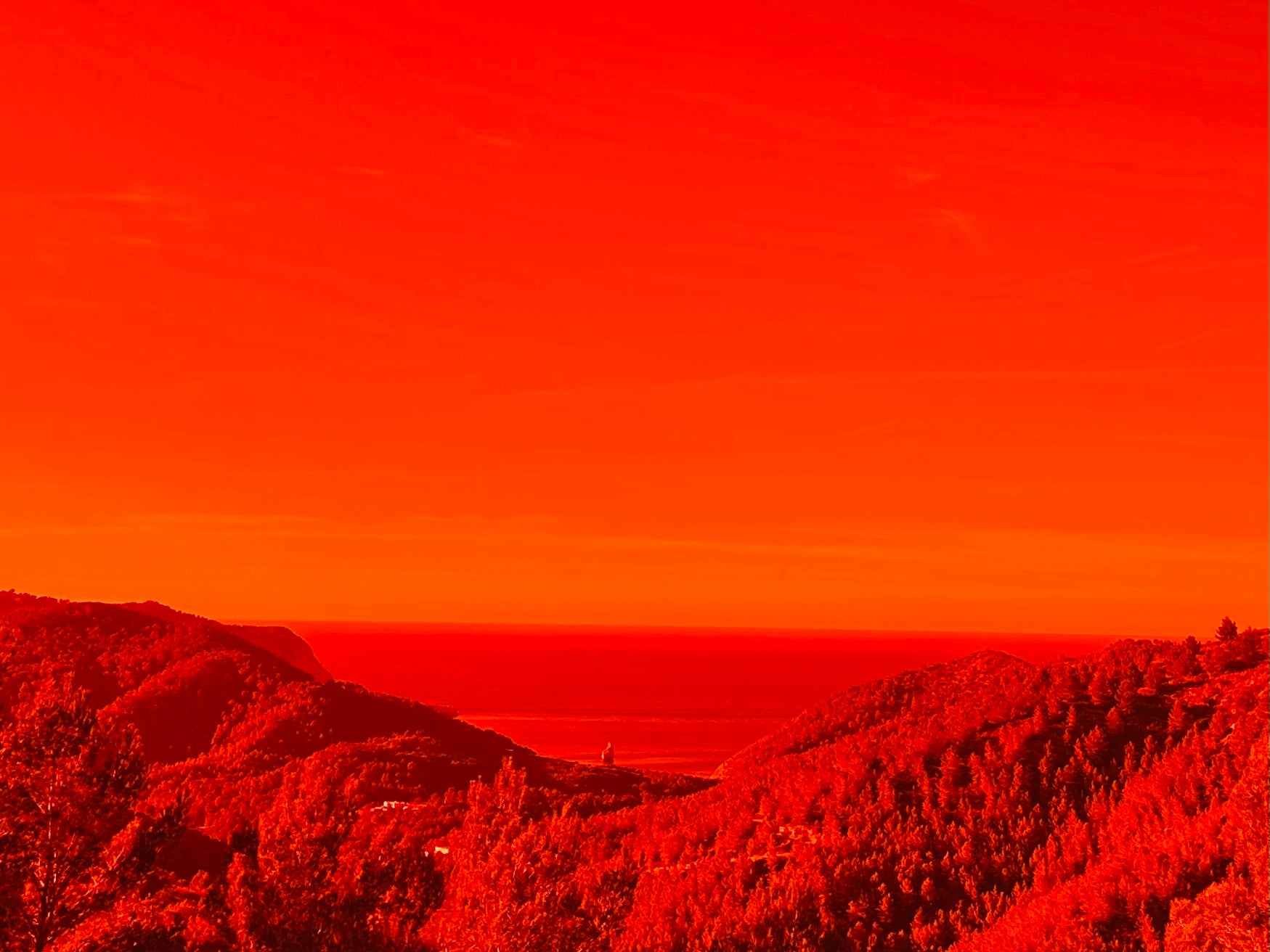 Pop Orange