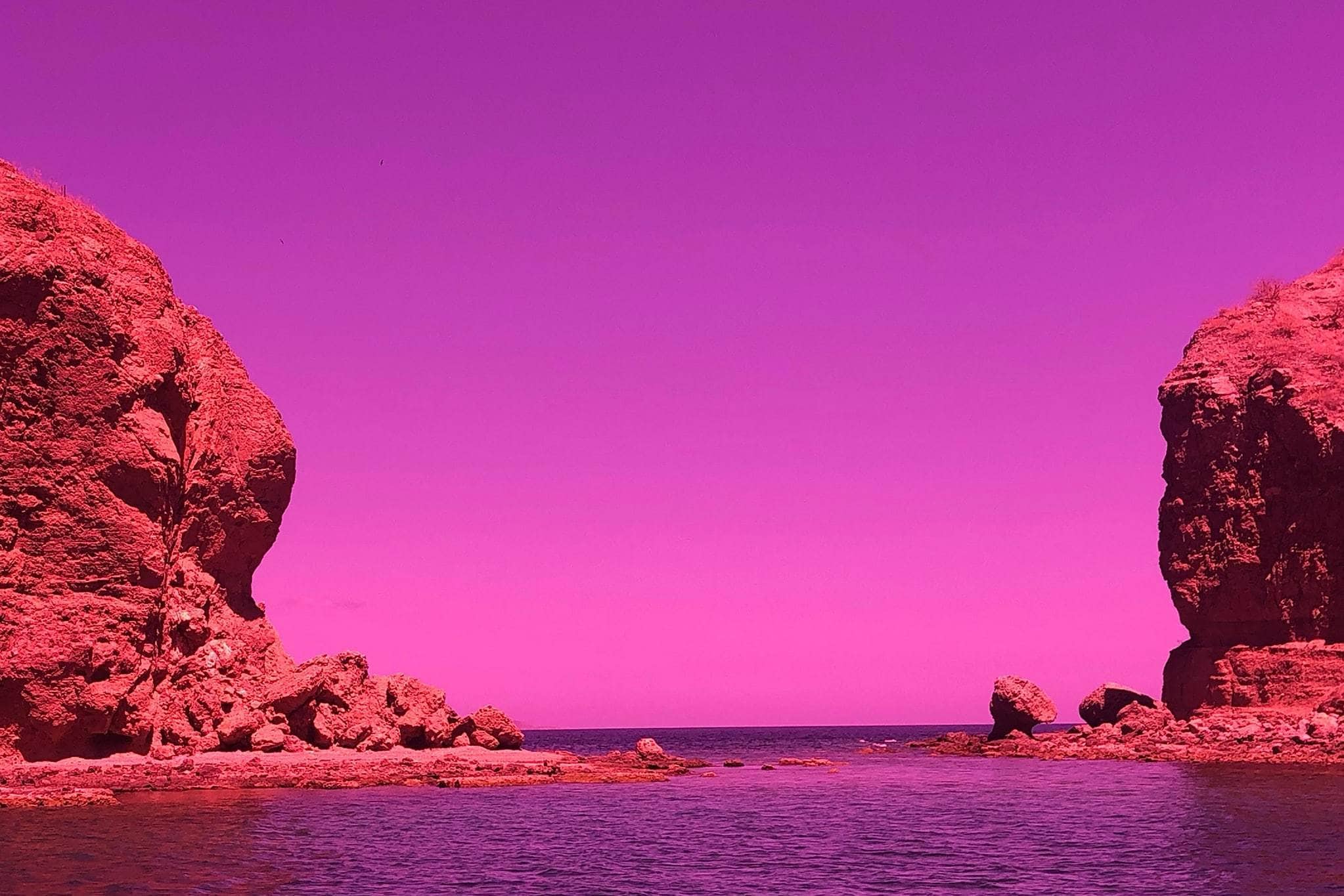 La Vie En Rose