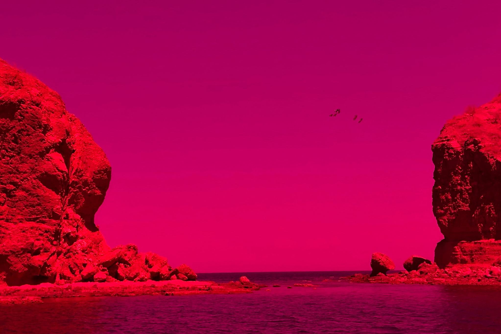 Purple Haze