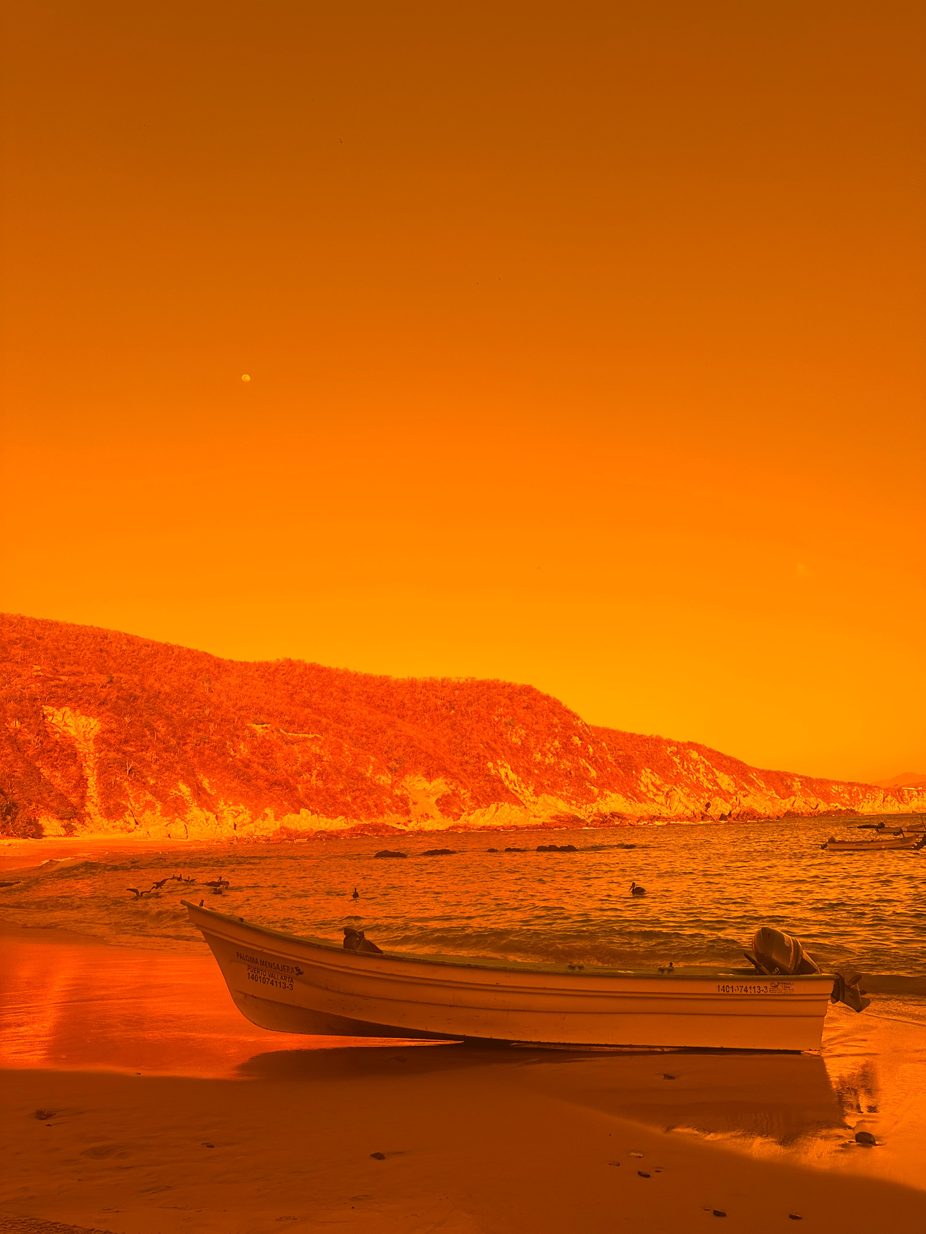 Introducing Caribbean Sunset - A Warm Embrace in Color Therapy