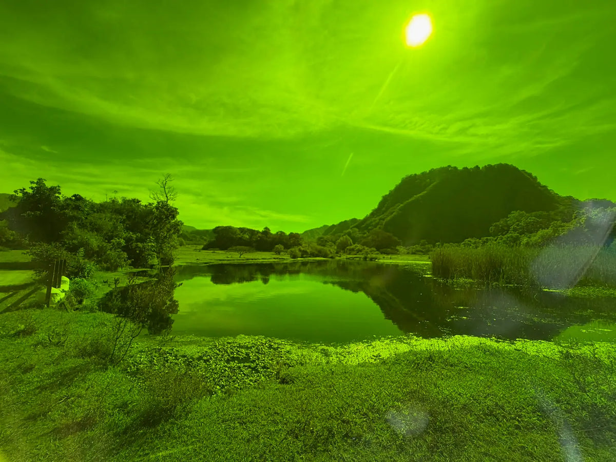 Diamond Green