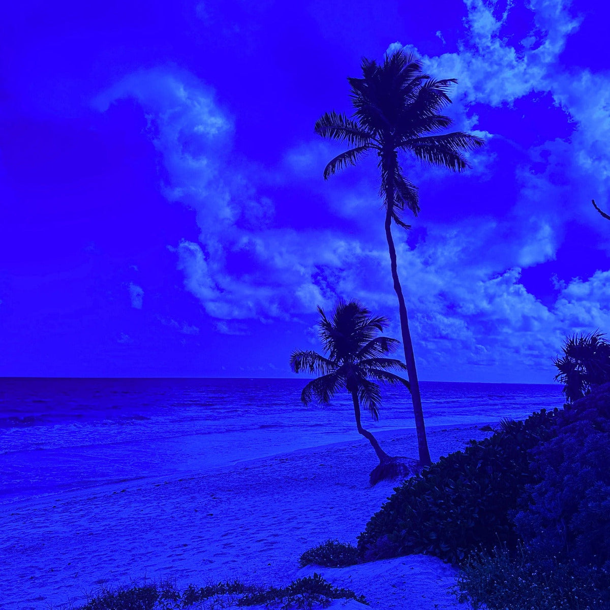 Electric Blue