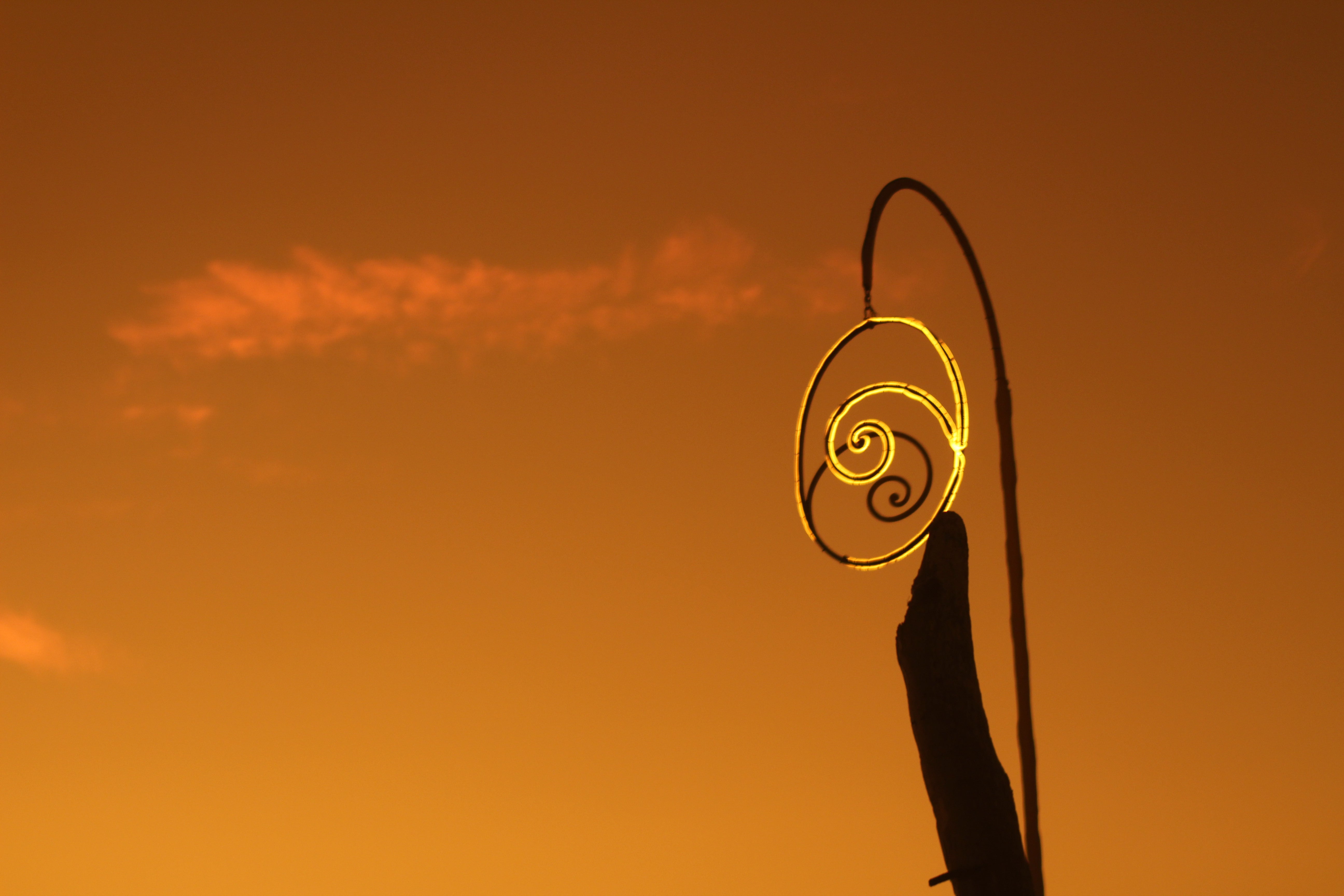 Premium Color Therapy Eyewear