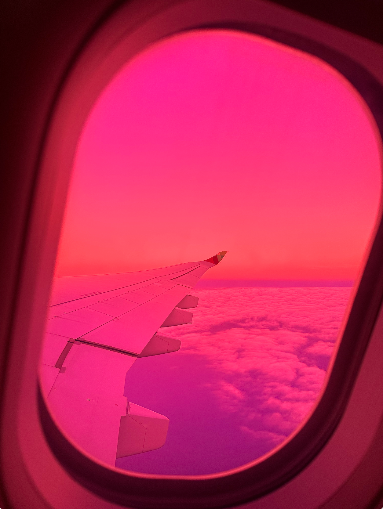 Filter | Purple Haze-thumbmail-2