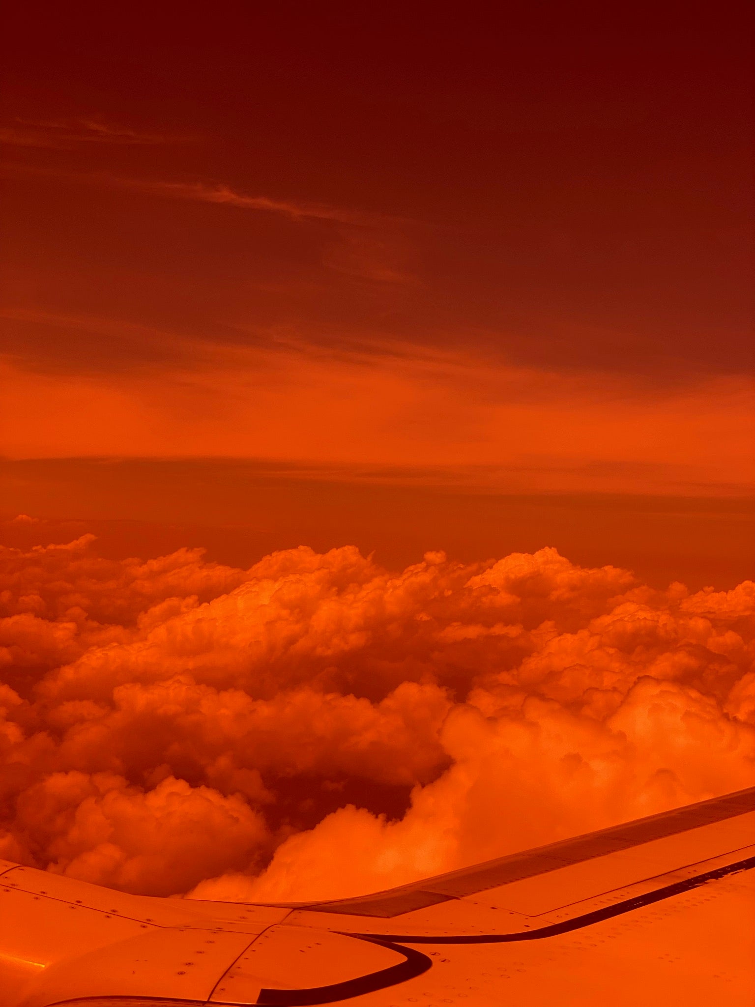 Filter | Baja Orange-thumbmail-7