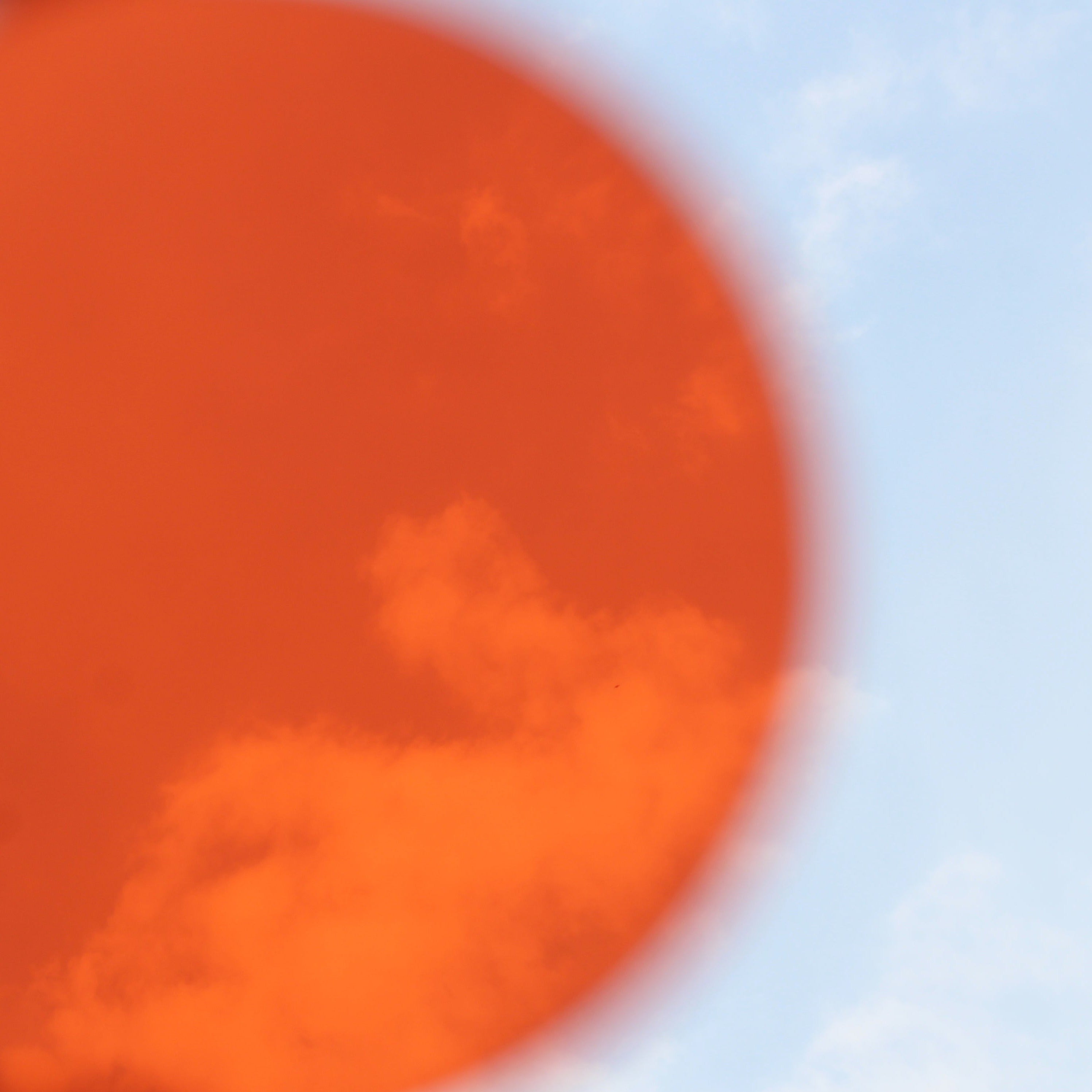 Filter | Baja Orange-thumbmail-4