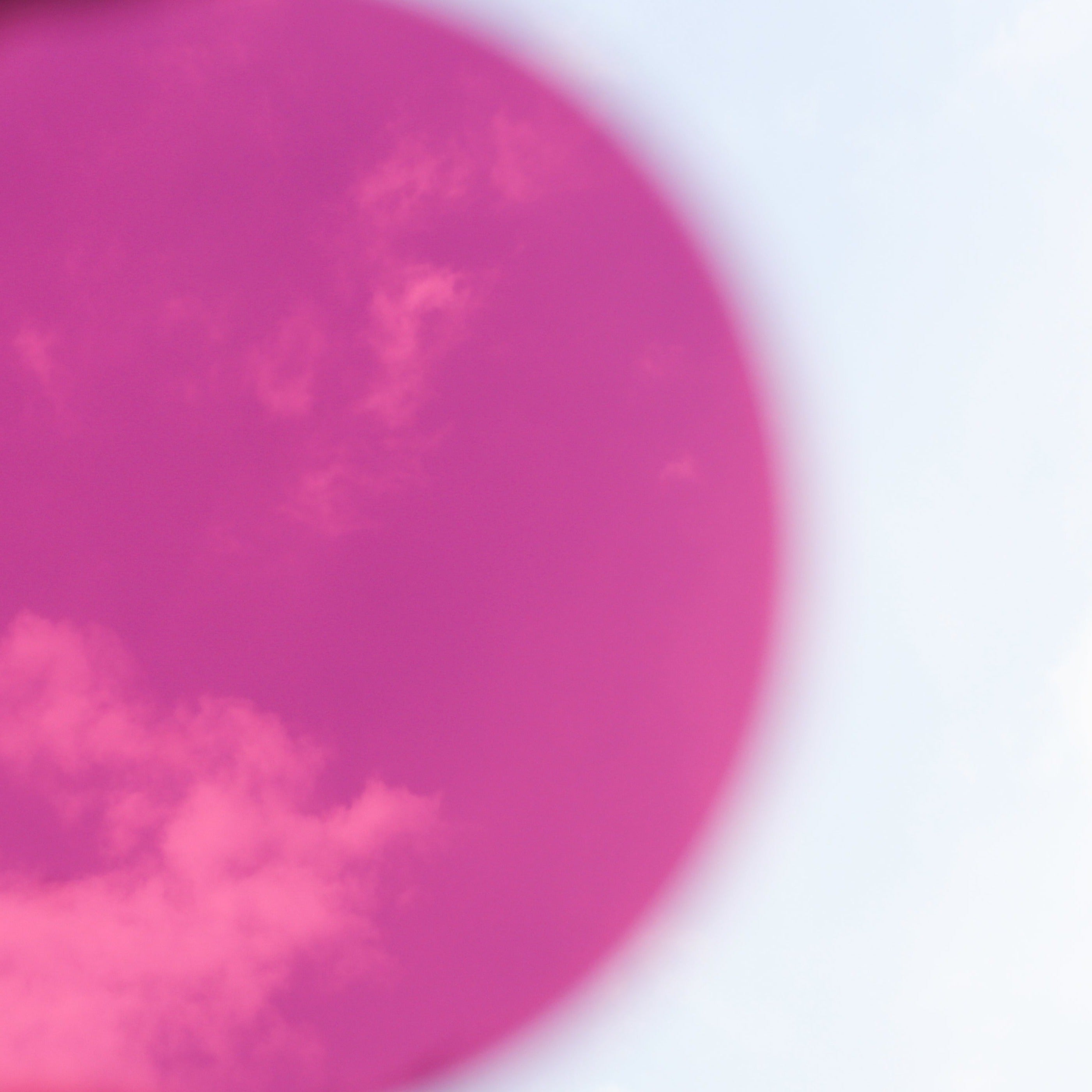 Women's Brand: La Vie en Rose - BEVAVA